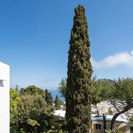 Casa Dei Sogni - Nel Cuore Di Apartment Capri